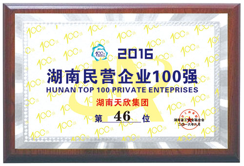 2016年湖南民營企業100強 第46位
